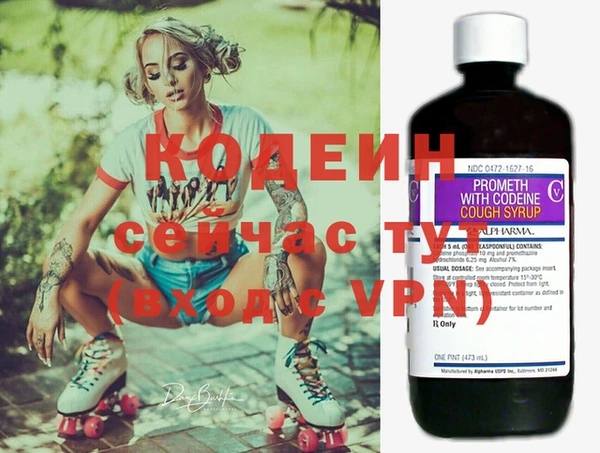 крисы Няндома