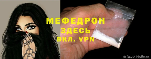 крисы Няндома