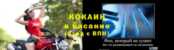 крисы Няндома