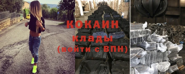 крисы Няндома