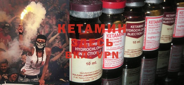 крисы Няндома