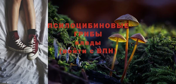 герыч Нязепетровск