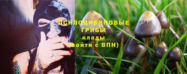 герыч Нязепетровск