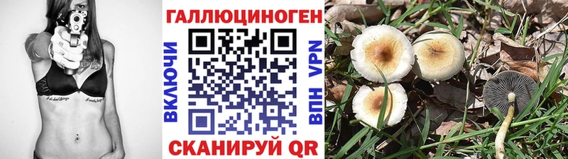 продажа наркотиков  Рославль  Галлюциногенные грибы Cubensis 