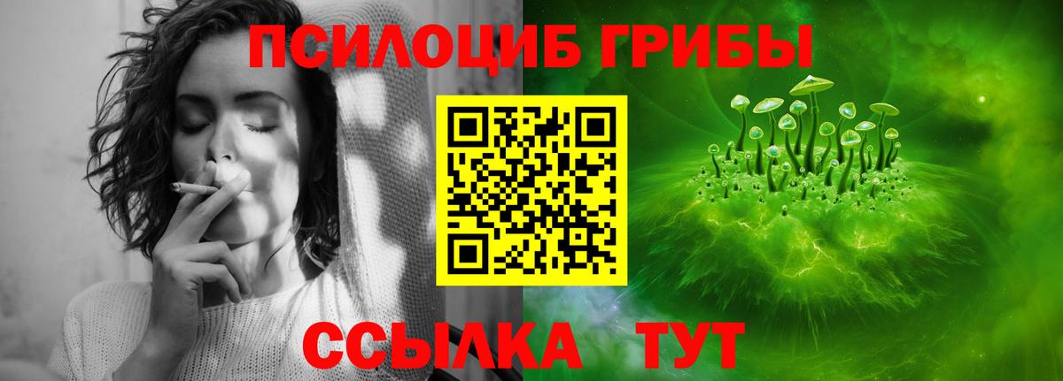 Рославль  Псилоцибиновые грибы ЛСД  Вход с VPN 