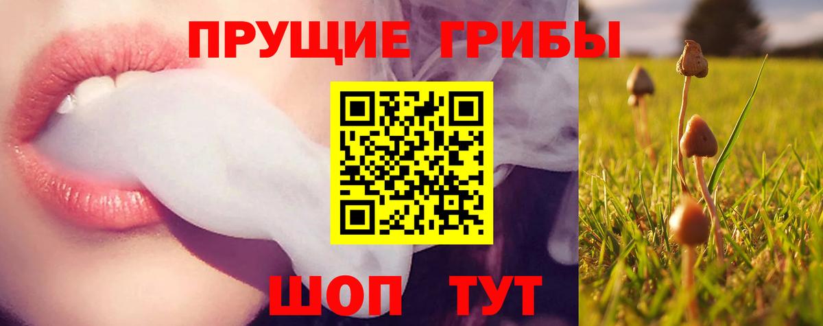 Псилоцибиновые грибы GOLDEN TEACHER Рославль